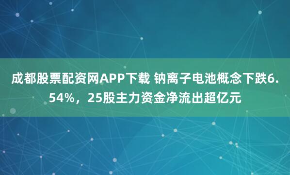 成都股票配资网APP下载 钠离子电池概念下跌6.54%，25股主力资金净流出超亿元