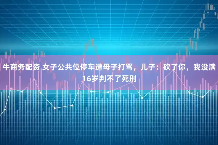 牛商务配资 女子公共位停车遭母子打骂，儿子：砍了你，我没满16岁判不了死刑