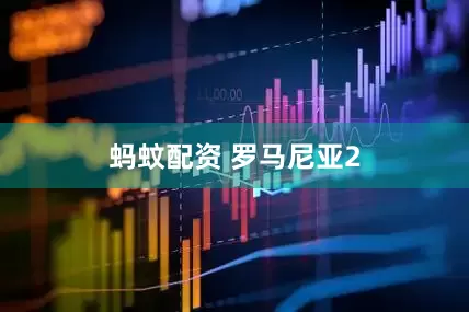 蚂蚊配资 罗马尼亚2